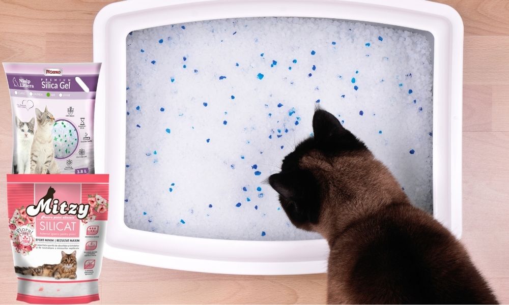 Așternut din silicat pentru pisici