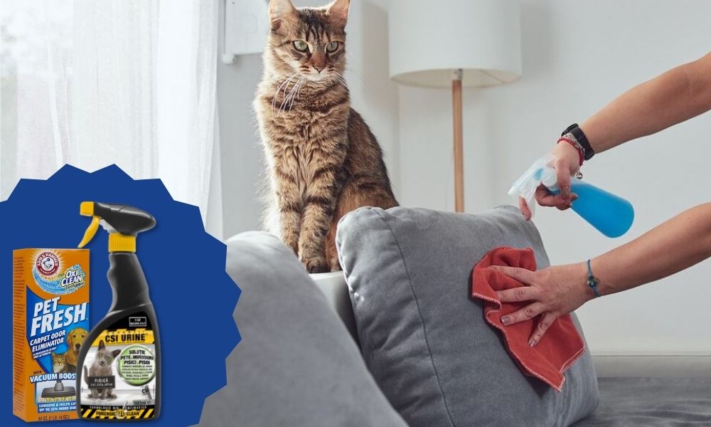 eliminarea mirosului de urină de pisică