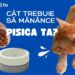 cât trebuie să mănânce pisica