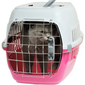 Transport